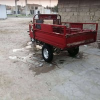 ستوته • بدون اوراق • شيشان قرب الخماسي