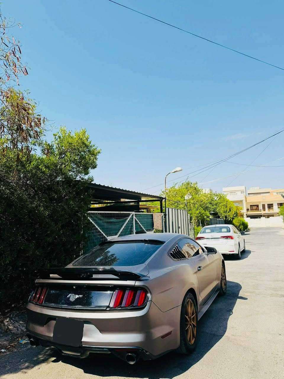 موستانغ • اكوبوست • ٢٠١٦