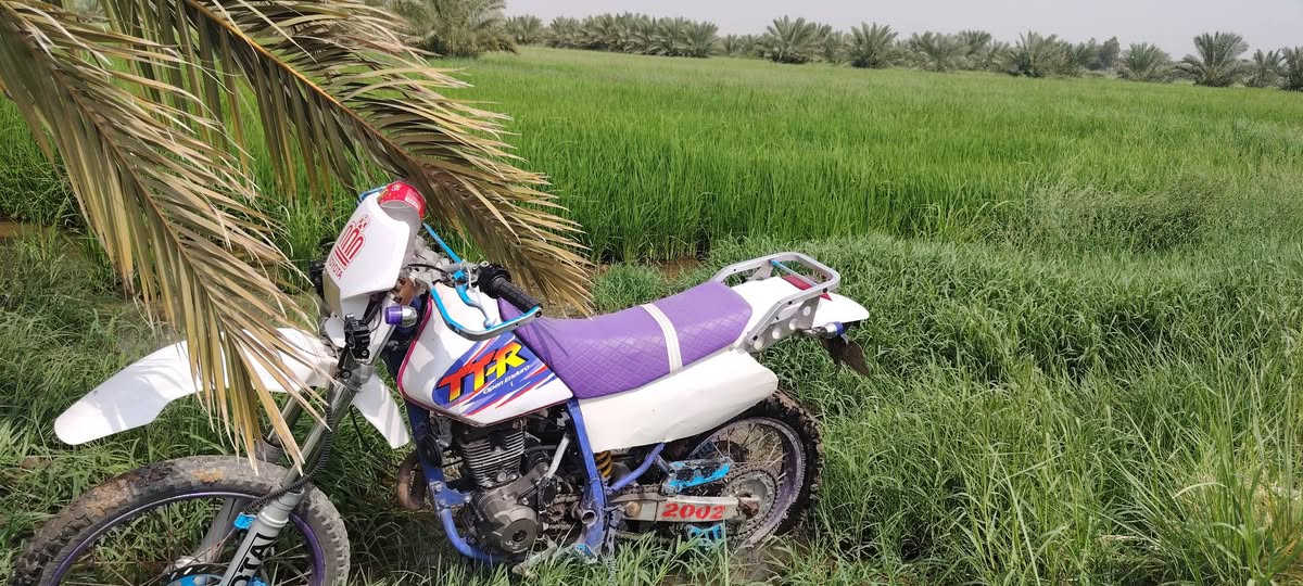 قفاز للبيع دراجه مكينه 200بل كارتون دراجه خير من الله ما تخسر عليهه ربع مال جناي اترايك للبصره الشراي يتصل ويدلل مكاني ناصريه بل شطره ***********السعر 1300وبهه حك الجيه
