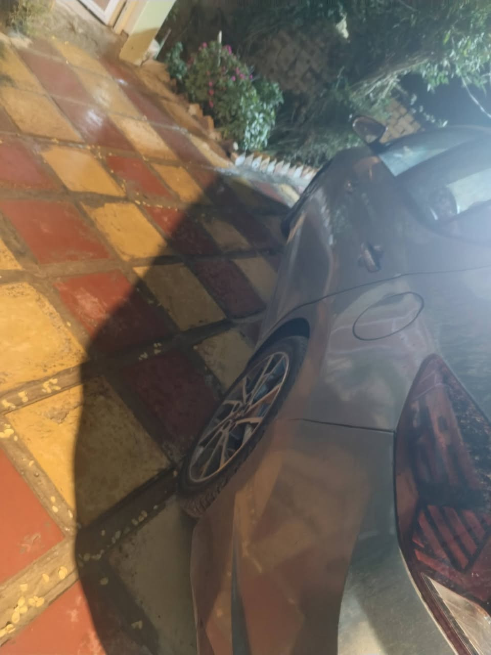 النترا • ٢٠١٩ • رقم اربيل