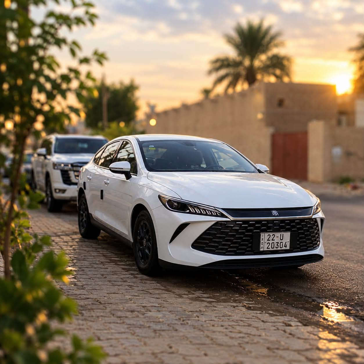 بي واي دي • ٢٠٢٥ • رقم اربيل