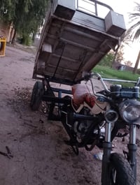 ستوته ام الطير • موديل 19 • الركبه مضروبة