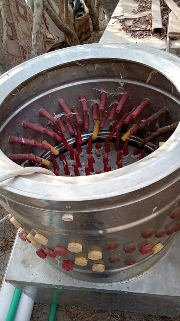 غراض محل • دجاج وسمك • جديد