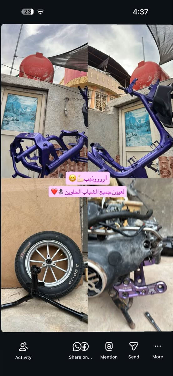 ماكس • تعمير جديد • ابي الخصيب