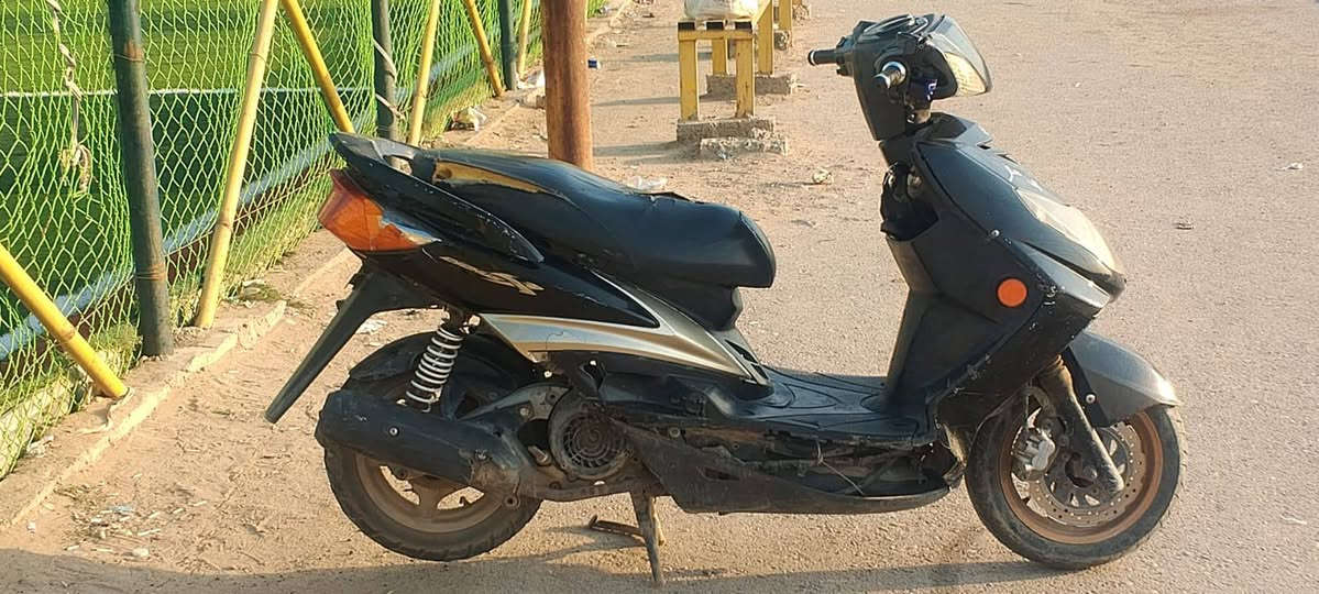 سكنس فحل • سلف • معدل