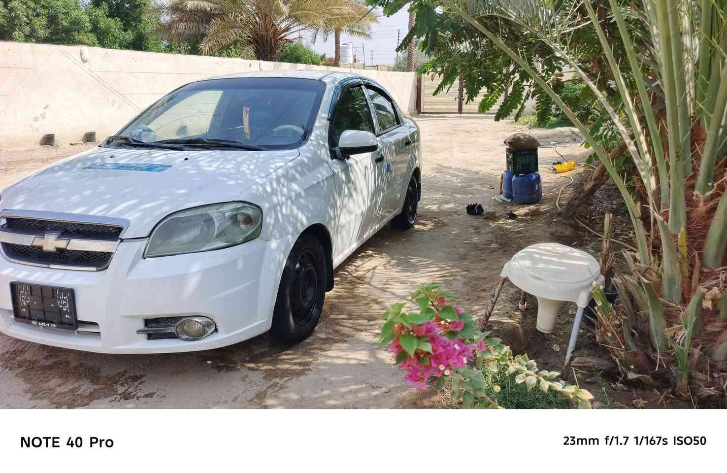 افيو • ٢٠١١ • سوق الشيوخ