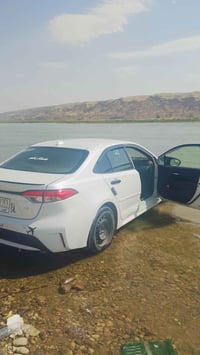 اسديره تكريت • الصبح ٧ • يومي