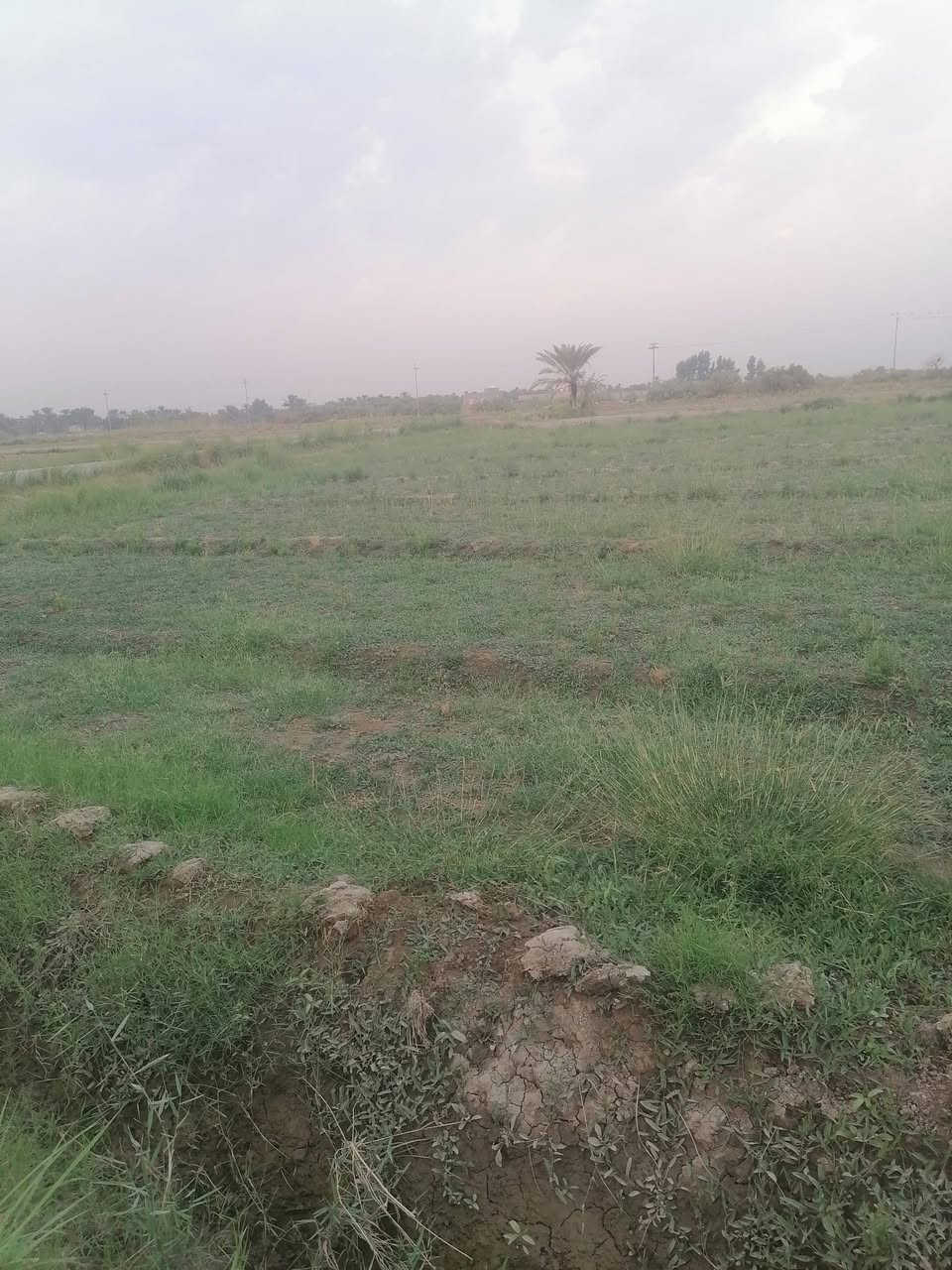 ٢ دونم • مويه وكهرباء • طابو