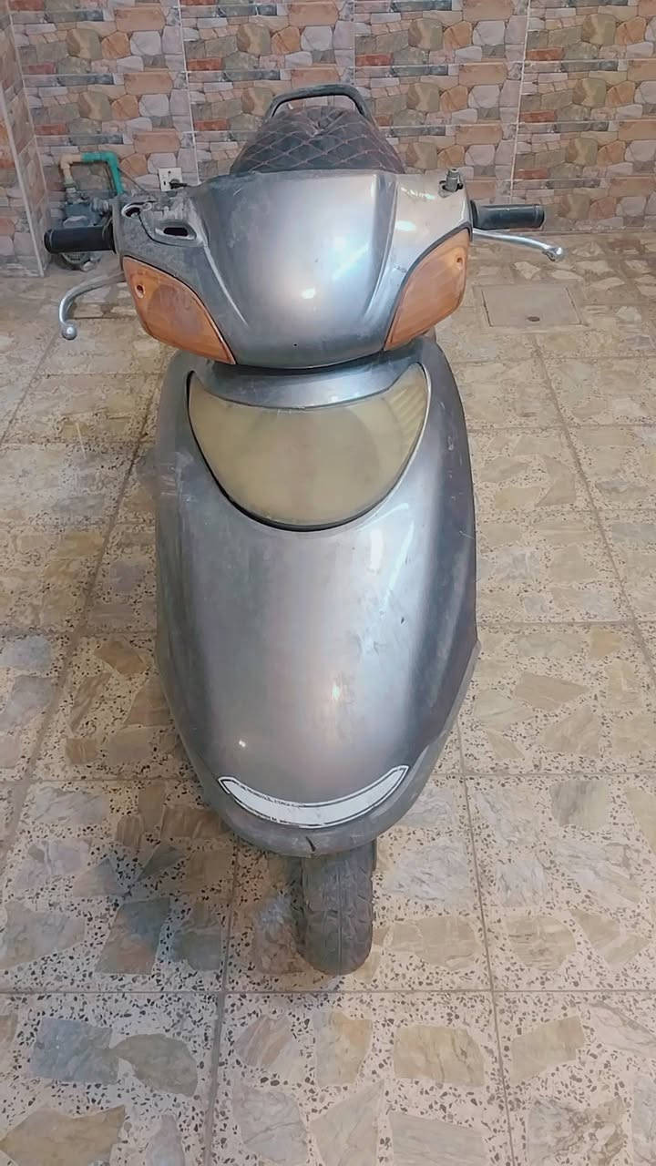 سبيسي • ياباني • محروقة