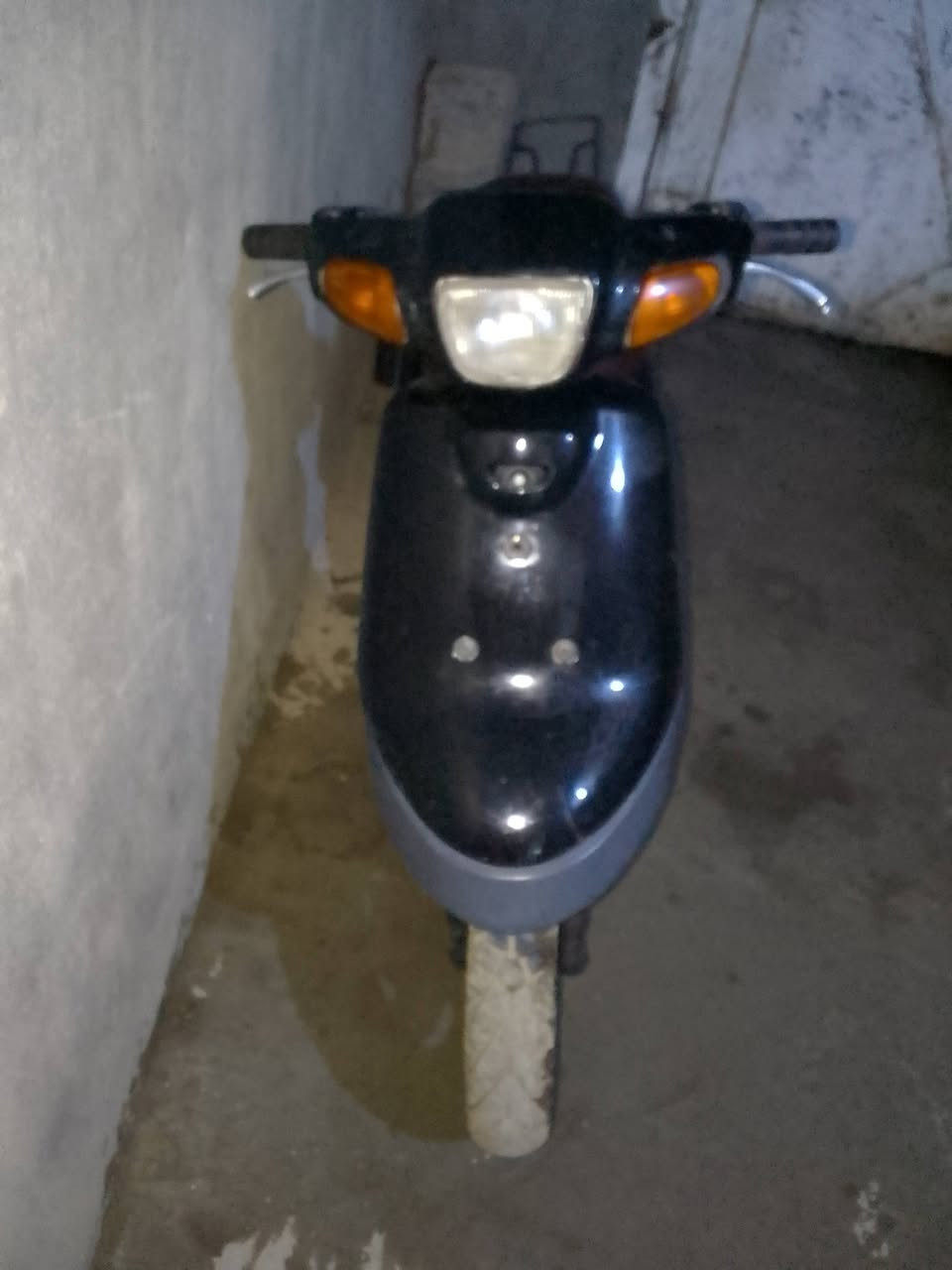 بطه بلاديه • فحل • نضيفه