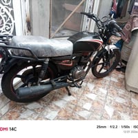شاينك فحل • مديل ٢٠٢٣ • مكفولة