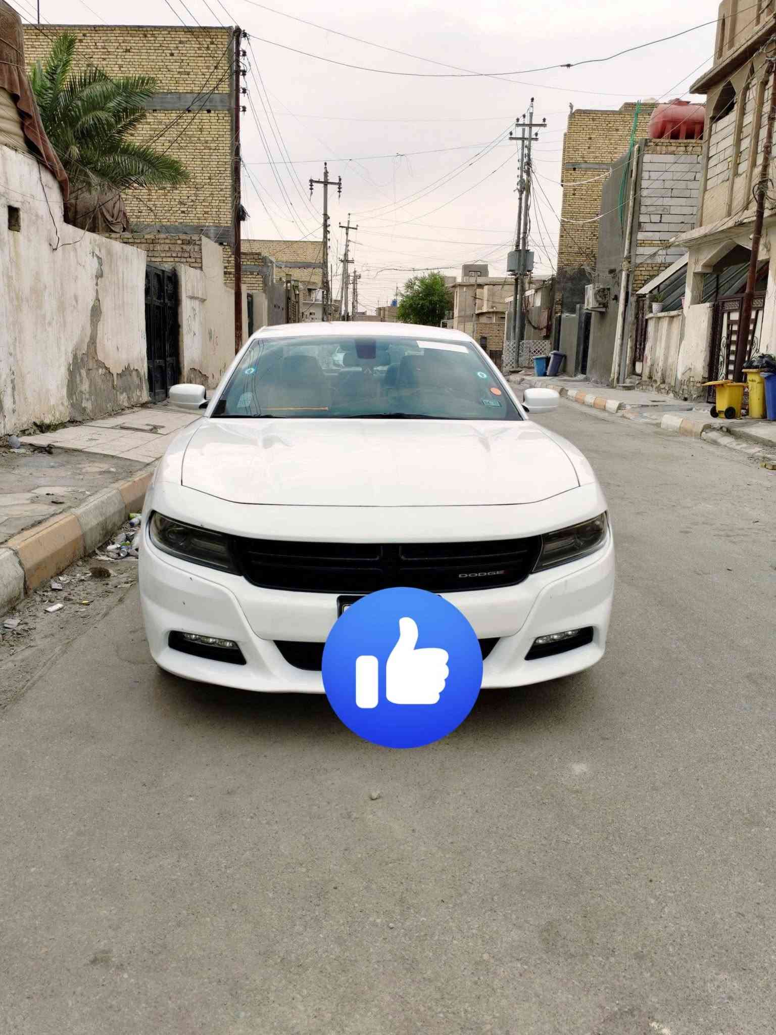 رقم بصره • كفاله صبغ وتبديل • داخله تقرير