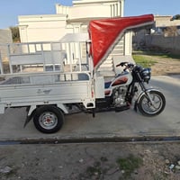 ستوتة ام الطير • ٢٠٢١ • اوراق