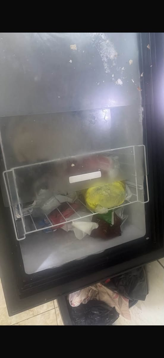 مجمده جديده اشتريتها قبل شهر بس طلعت كلش حبيره على المطبخ صار شتريتها ب٤٠٠ عارضتها ٢٥٠ وبيها مجال رقمي *********** عنواني بغداد الجديده
