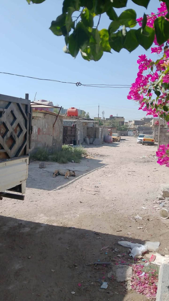 بيت تجاوز 200 متر بسعر مناسب 

 غرفتين نوم واستقبال ومطبخ وصحيات وحديقه مرتبه المكان بغداد الحريه مجمع الرجاء السكني قريب ع الزراعي السعر 9 وبي مجال بسيط الرقم واتساب ***********
