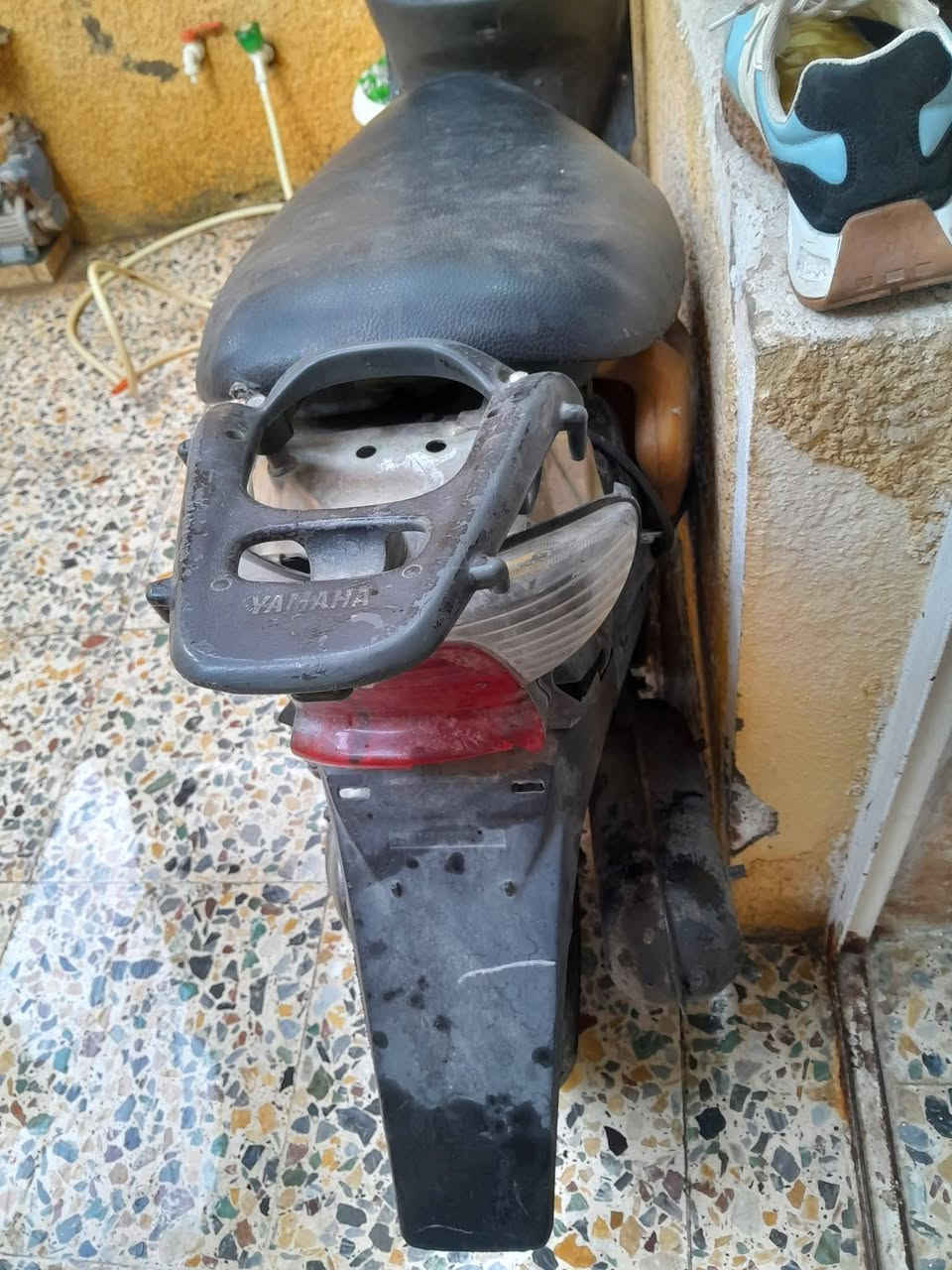مو للبيع خوان عندي هاي العصفوري بل مشي طيارة تشتغل هندر اول هندر تشتغل اريد مراوس بدراجة هم ٦٠ بس جديدة وانطي فرق الي يحب يراوس وانطي فرق يراسلني خاص مكاني الشعب
