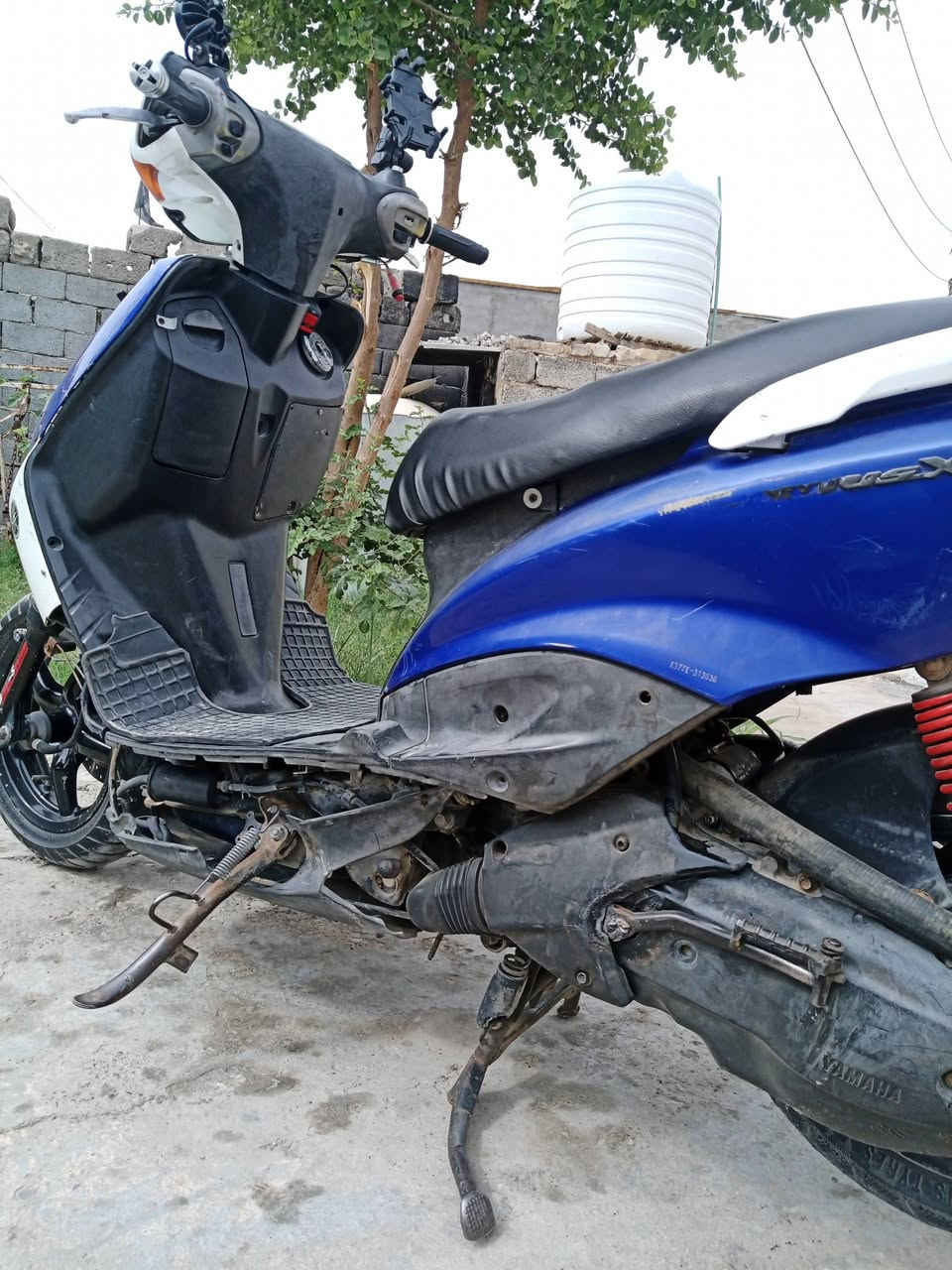 سكنس نثيه • ياباني • ١٤٠