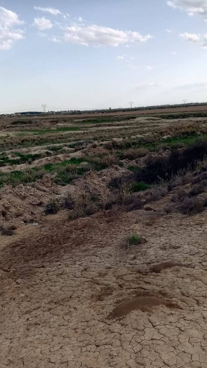 السلام عليكم عندي قطعه ارض سند٢٥ حق التصرف بغداد الاوسمه مساحه دونم سعر الدونم الواحد ٥٥مليون رقم الاتصال ***********

