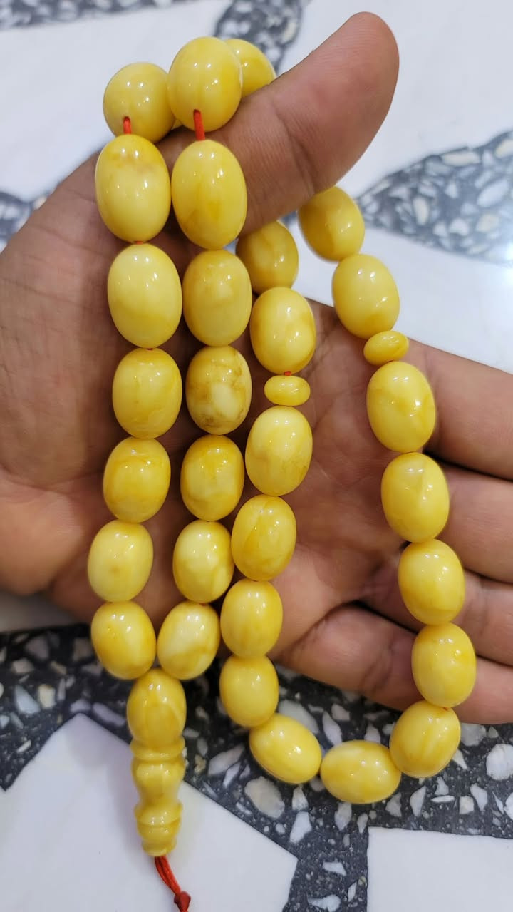 كهرب بولندي • ٨٠ غرام • ٣٣ حبه