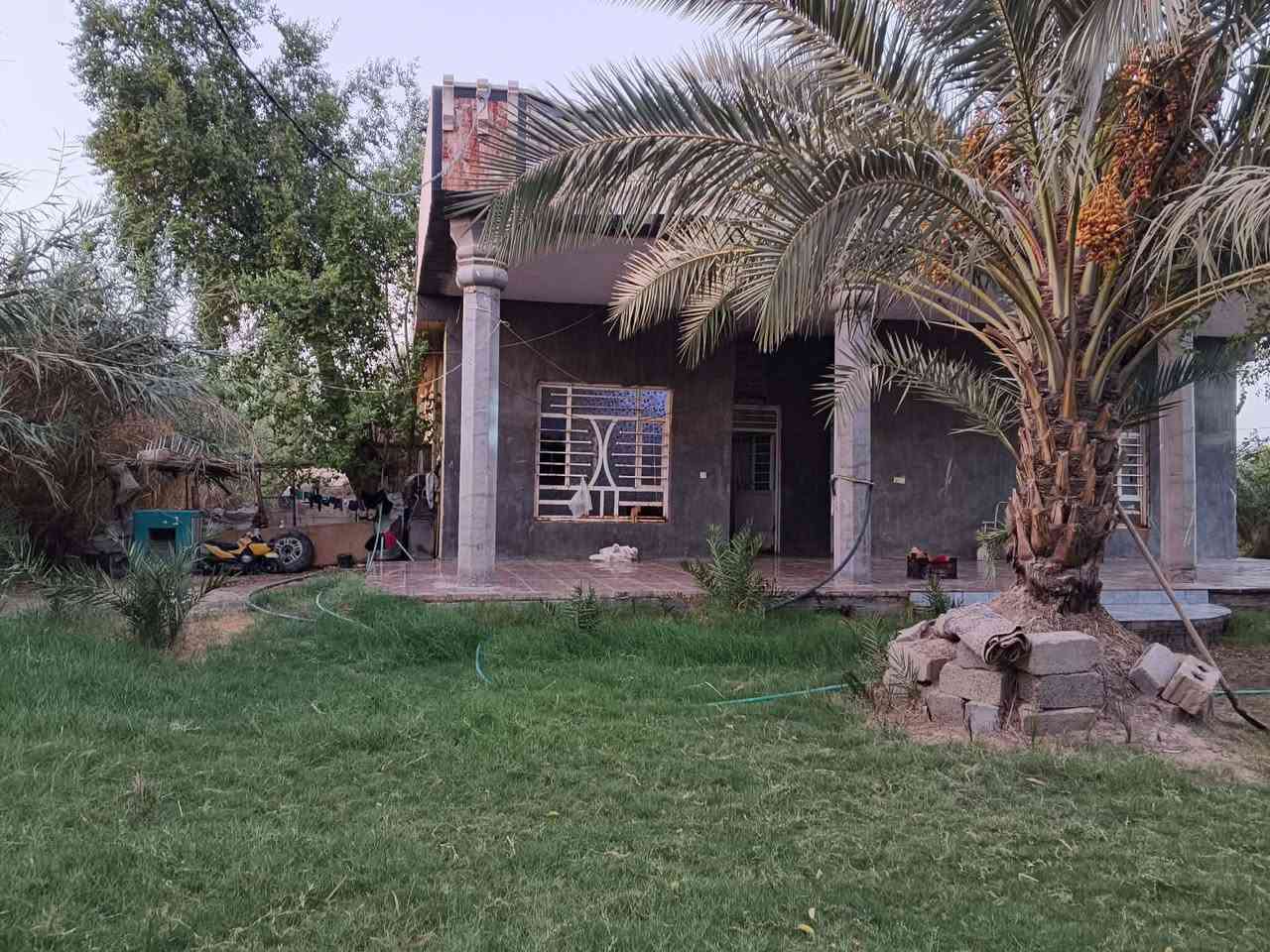 مزرعه معه دار حديث البناء زراعي  ومسيجه وكامله خدمات من تبليط للباب ماء مستوصف صحي البيت غرفتن وصالتين ومطبخ واستقبال وصحيات داخليه و خارجيه تبعد عن السوق ابو غريب خمس دقائق واجت البيت 12م ونزال12البيت مطبك كرانيت داخل وخارج للتفاصيل أكثر اتصل أو راسل واتساب ***********
