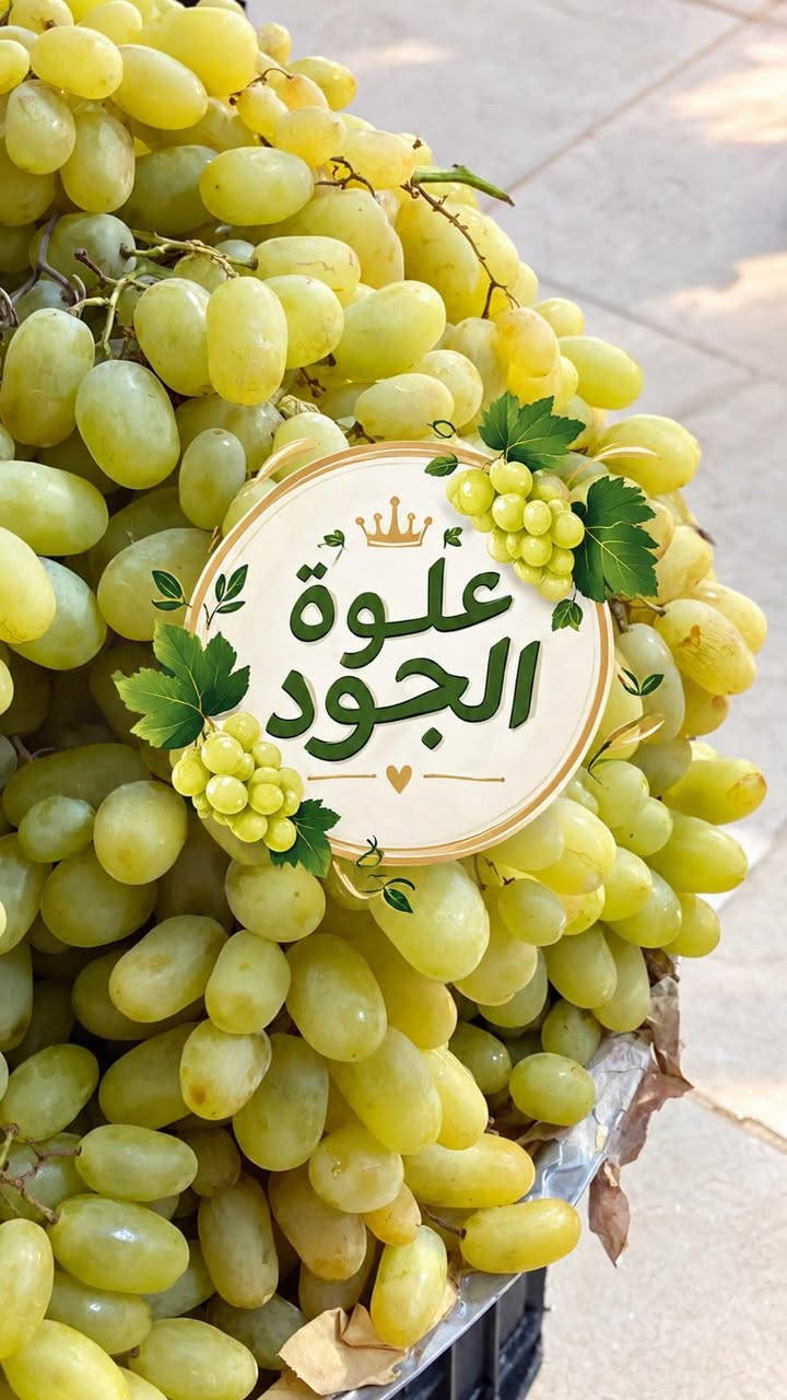 كيلو عسل • عرض مسواك • بسماية بغداد