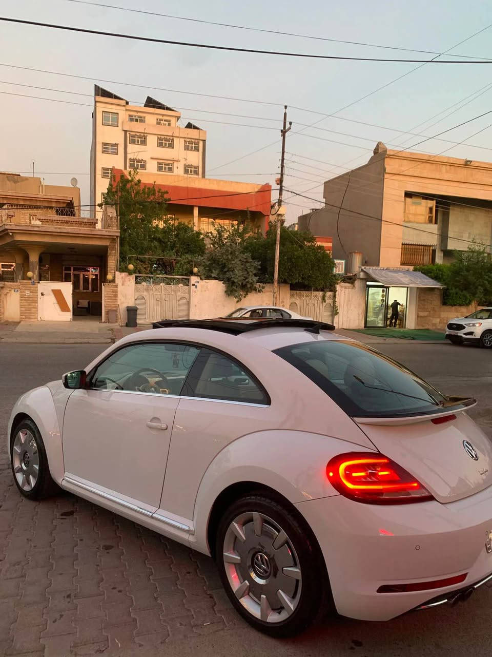 بيتل • ٢٠١٩ • وارد امريكي