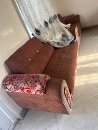التخم • المبرده • المجمده