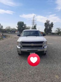 سلفادور فحل • ٢٠٠٨ • رقم اربيل