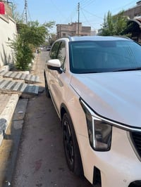 سورنتو • ٢٠٢٤ • رقم اربيل