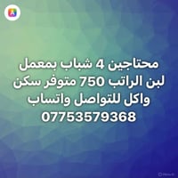 معمل لبن • ٤ شباب • سكن واكل