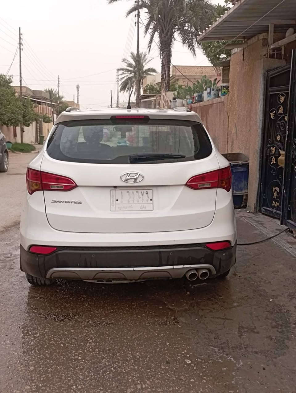سنتافيا • ٢٠١٤ • رقم بابل