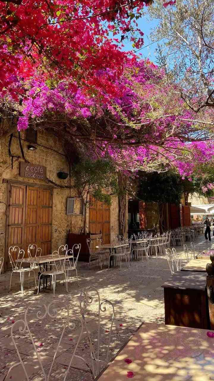 🌹✈️🇱🇧
🇱🇧✨ على بركة الله تعالى نعلن لكم عن برنامجنا السياحي إلى لبنان ✨🇱🇧

✈️ طيران مباشر
من مطار بغداد الدولي 🇮🇶
إلى مطار رفيق الحريري الدولي – بيروت 🇱🇧

🗓️ مدة الرحلة:
🏨 ٤ ليالٍ | ٥ أيام

📍 السكن:
🏨 فندق مميز بالقرب من منطقة الروشة 🌊🌴

🥐 وجبة إفطار صباحي ☕🍽️

🌆 الجولات السياحية:
✨ تكون حسب رغبة المسافر واختيار المناطق التي يرغب بزيارتها
📸 بحر 🌊 | طبيعة 🌲 | أسواق 🛍️ | أماكن سياحية وترفيهية 🎡

💳 متوفر نظام أقساط لجميع موظفي الدولة
🤝 تسهيلات وخدمة مميزة من بداية الرحلة إلى نهايتها

📍 العنوان:
واسط – قضاء الحي – شارع البالات
🏪 محل براند حسين الخواف

📞 للحجز والاستفسار:
***********
📲 أو مراسلة الصفحة

🌹 الحاج حسين الخواف
✈️ غايتنا خدمتكم وصنع أجمل الذكريات معكم ❤️

🇱🇧 لبنان… رحلة تجمع بين الطبيعة والجمال والأجواء الرائعة ✨🌊❤️

نص مكتوب في الصور:
- ZAHER KHATIB