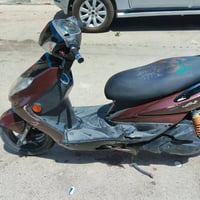 سكنس فحل • كفاله عامه • اوراق كامله