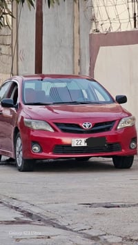 كورله • ٢٠١٠ • صبغ عام