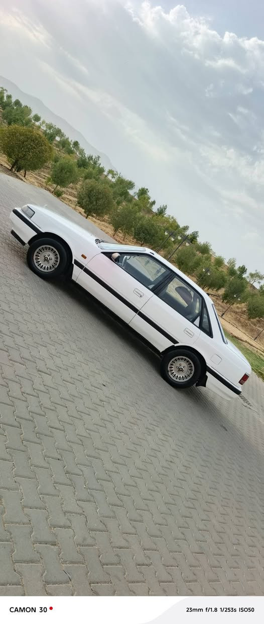 ❣️ماشەڵانمونەلەجوانیولەپاکی❣️
مازدای 626ی سنوق🚗مۆدێل1991
        مەکینەی( هەشتوبەخ)
گێڕومەکینەی بەشەرتی100فیتەر
ڕەقەم سلێمانی بەناوی خۆمانەوەیەیەسەنەویەکەی مانگێکەبەسەرچوەتەحویل غرامەوبڕاوەی بەشەرت
---------------------------------
چوارجام کارەبائاوێنەکارەباقفڵ مەرکەزیABSپاوەرموکەبەرەوتەرجیلی بلوتوزوسیدی چوارتایەوی ویلی لۆک لۆکی لەژێرایەکارەبای هەموگیانی لەسەردەقی شەریکەماوەتەوە
دەعمولێدراویی پێوەنیەوپێشودوای کەپسەوهیچ ڕزیویوخایسی نیەتەقەوڕەقەی هیچ تیانیەپێشودوای تازەداگیراوە
سەیارەکەمەسروفی 250ی تیانیەزۆرزۆرڕێکوپێکەماشەڵاجایزەوماڵی دۆستە
شوین سلێمانی 🌹نرخ42گەڵا💸
ژمارەتەلەفون📠*********** السليمانية, العراق
