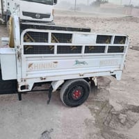 ستوتة • ٢٠٢٣ • سنوية