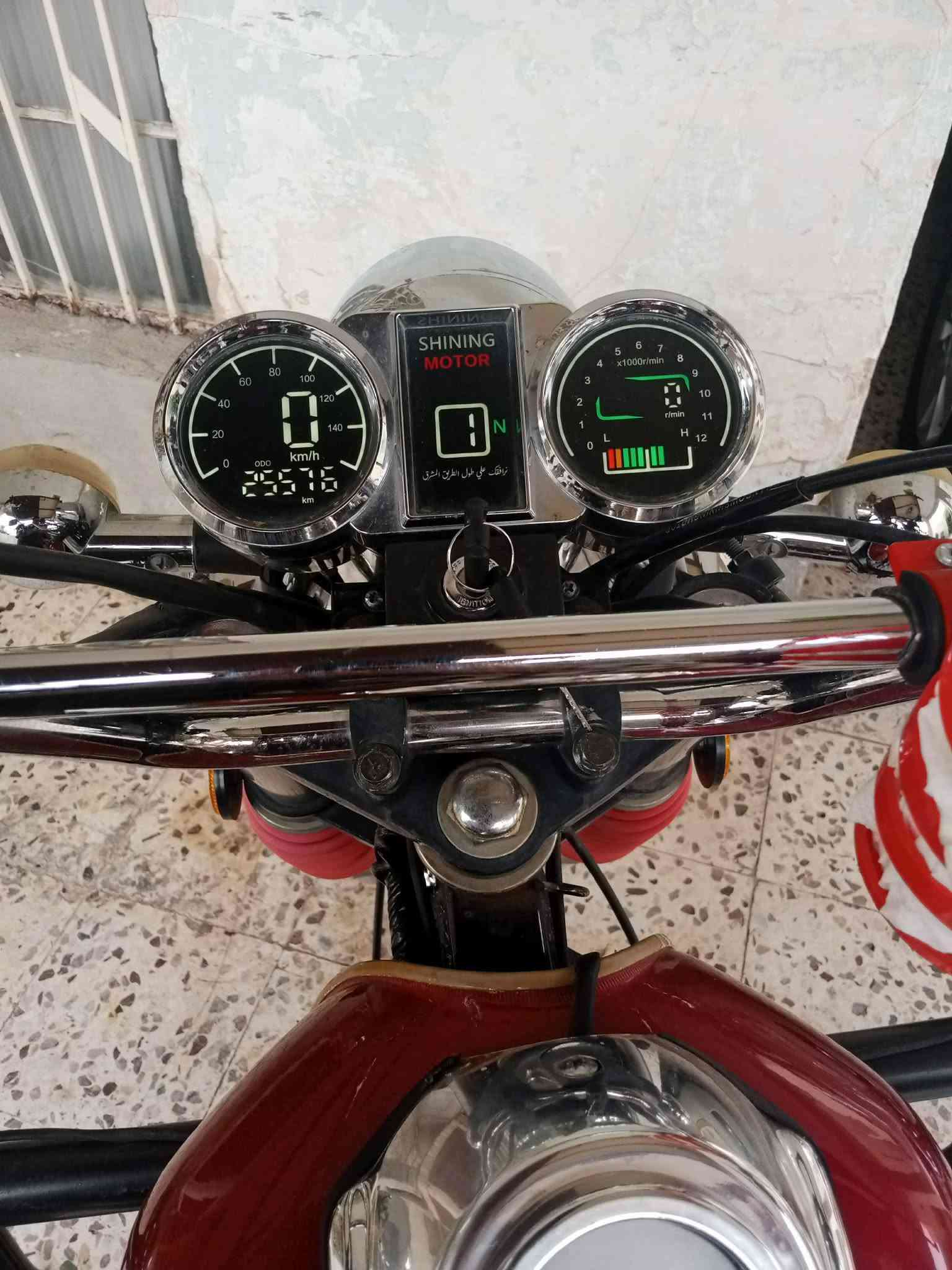 ستوته ام الطير • فحل • ٢٠٢٣