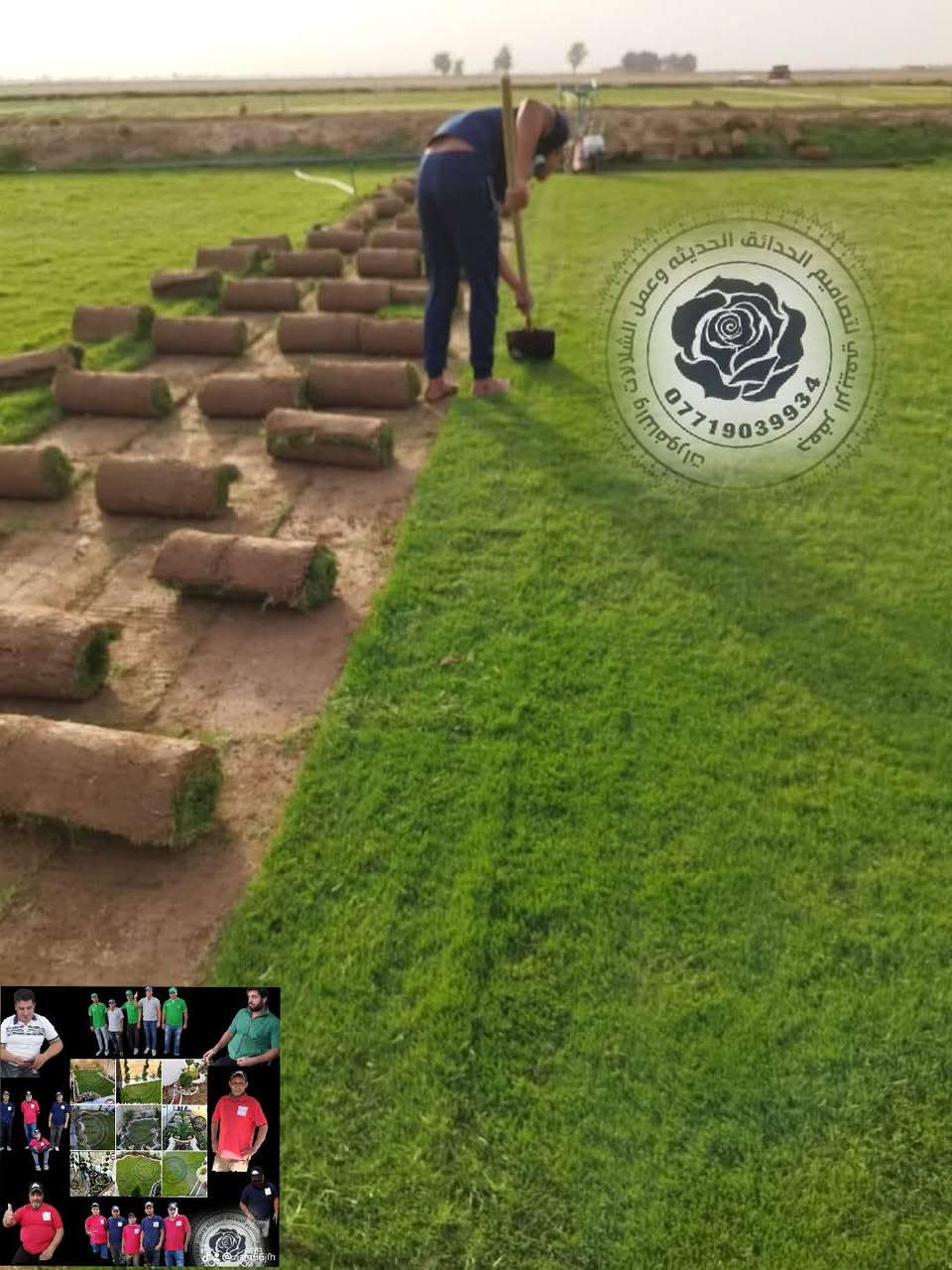 الثيل الأمريكي رقم واحد شتاء صيف حصريا مع كادر عمل جعفر الربيعي للحجز والاستفسار الاتصال على الرقم التالي/***********
