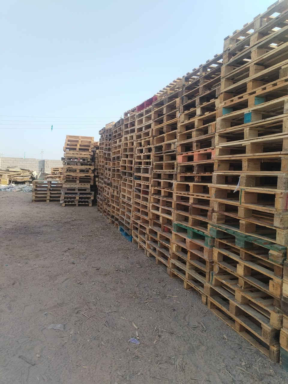 سكيب • درجة أولى • ١٢٠/١٠٠
