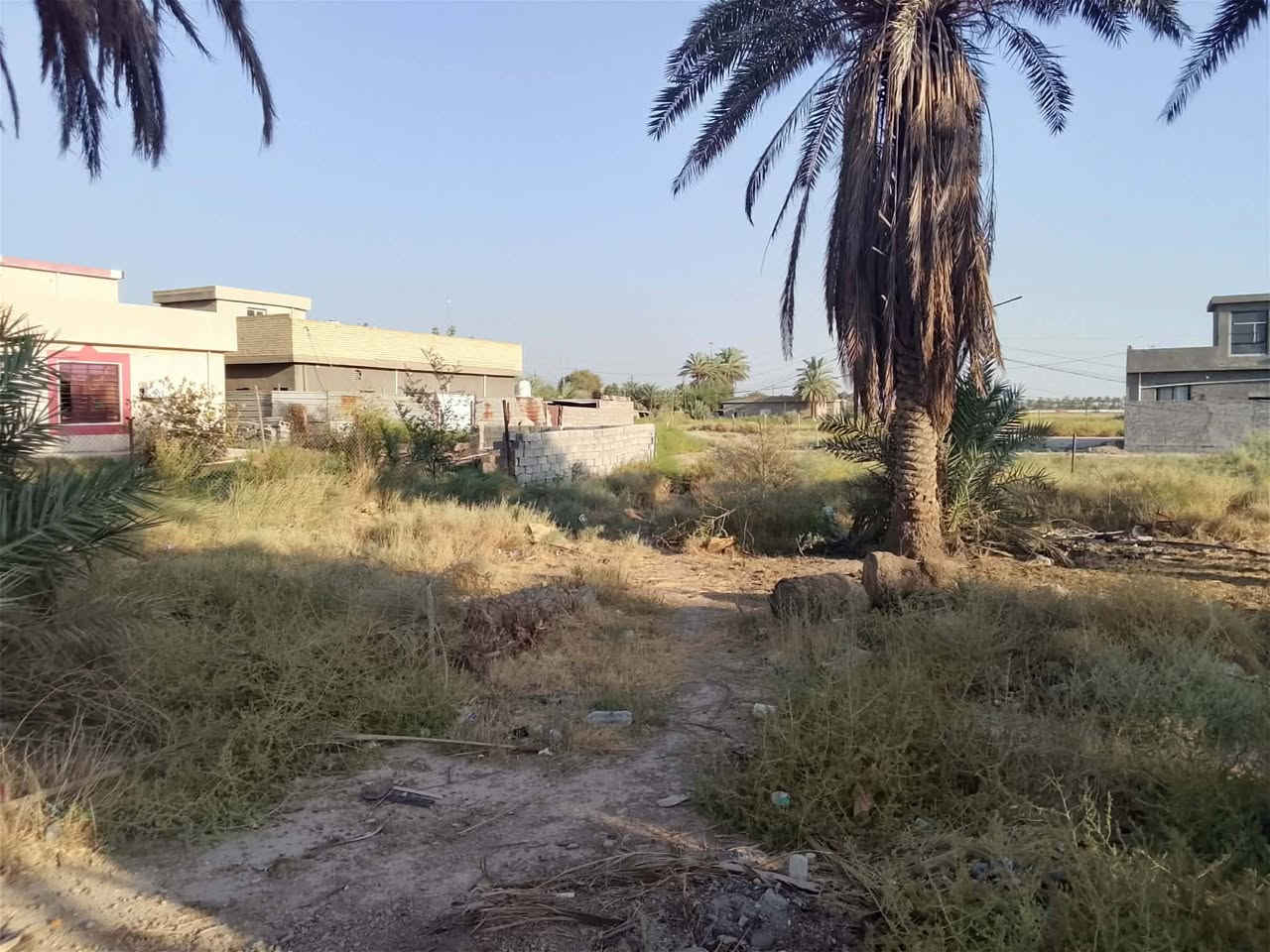 السلام عليكم قطعة 900متر للبيع سند 25علا طابو المحمودية المكان بغداد اليوسفيه قرب سريع الدوره الجديد الرقم ***********
