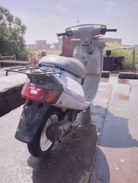 بزون • شغالة • سلف معلق