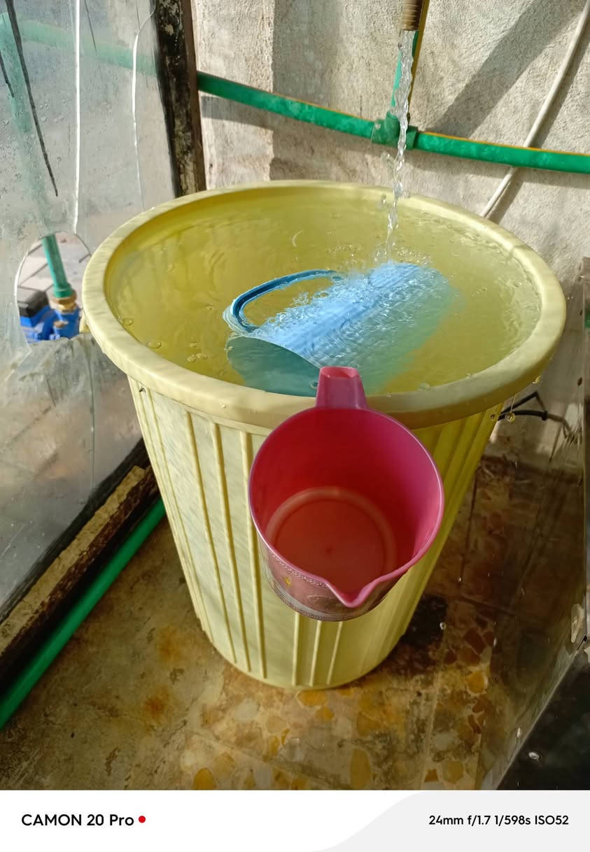 غراض محل دجاج • نضيفات • طويريج