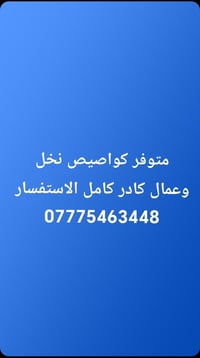 شتلات نخل • كادر كامل