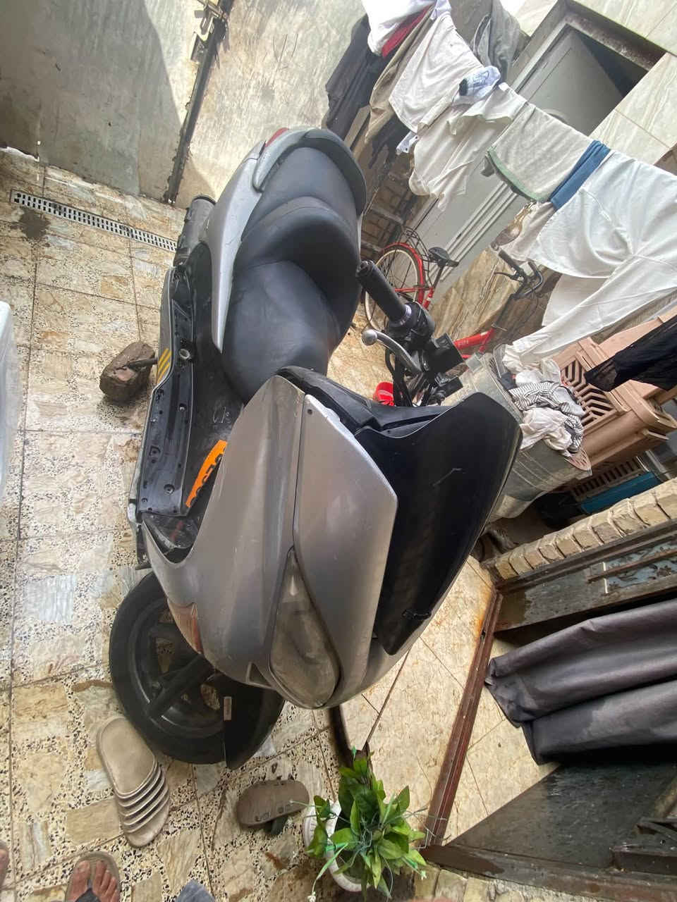 فورزه • 0.9 • شغالة