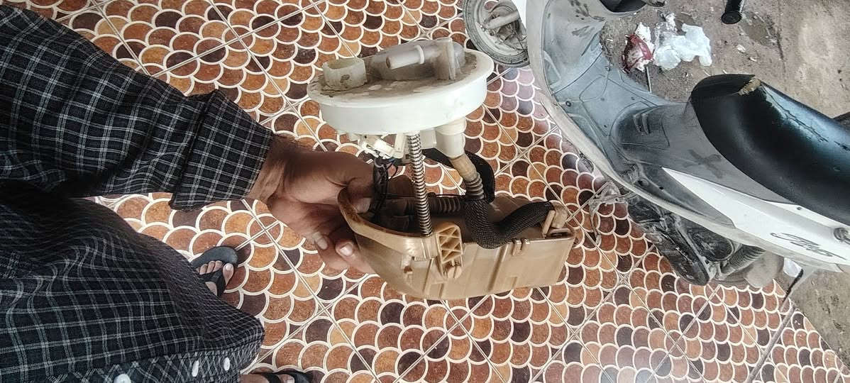 سبكترا ٢٠٠٨ • صالنصه • بابل