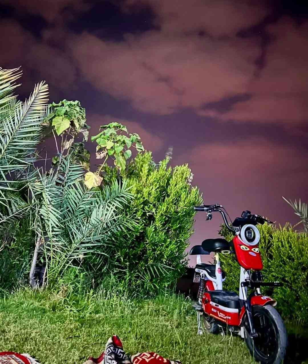 موطور شحن • يحتاج بطاريات • ٤ سرعات
