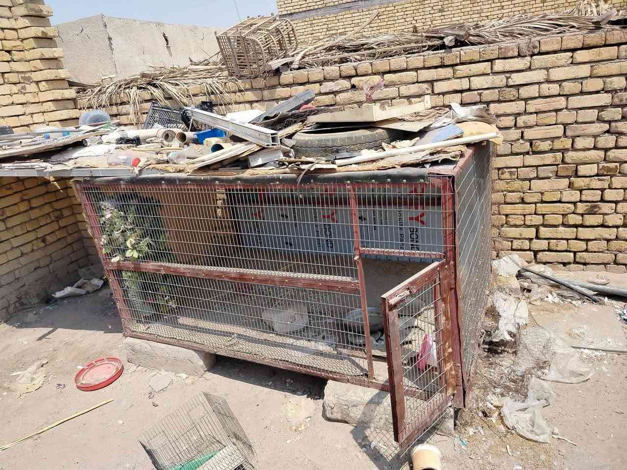 قفص تفصال شرط جبير ب40 نظيف
