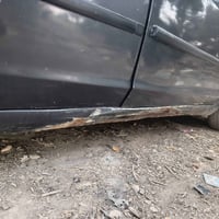 فوكس • ٢٠٠٦ • سنوية ٢٠٢٩