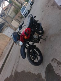 بوكسر • جبلي • اوراق ضايعه