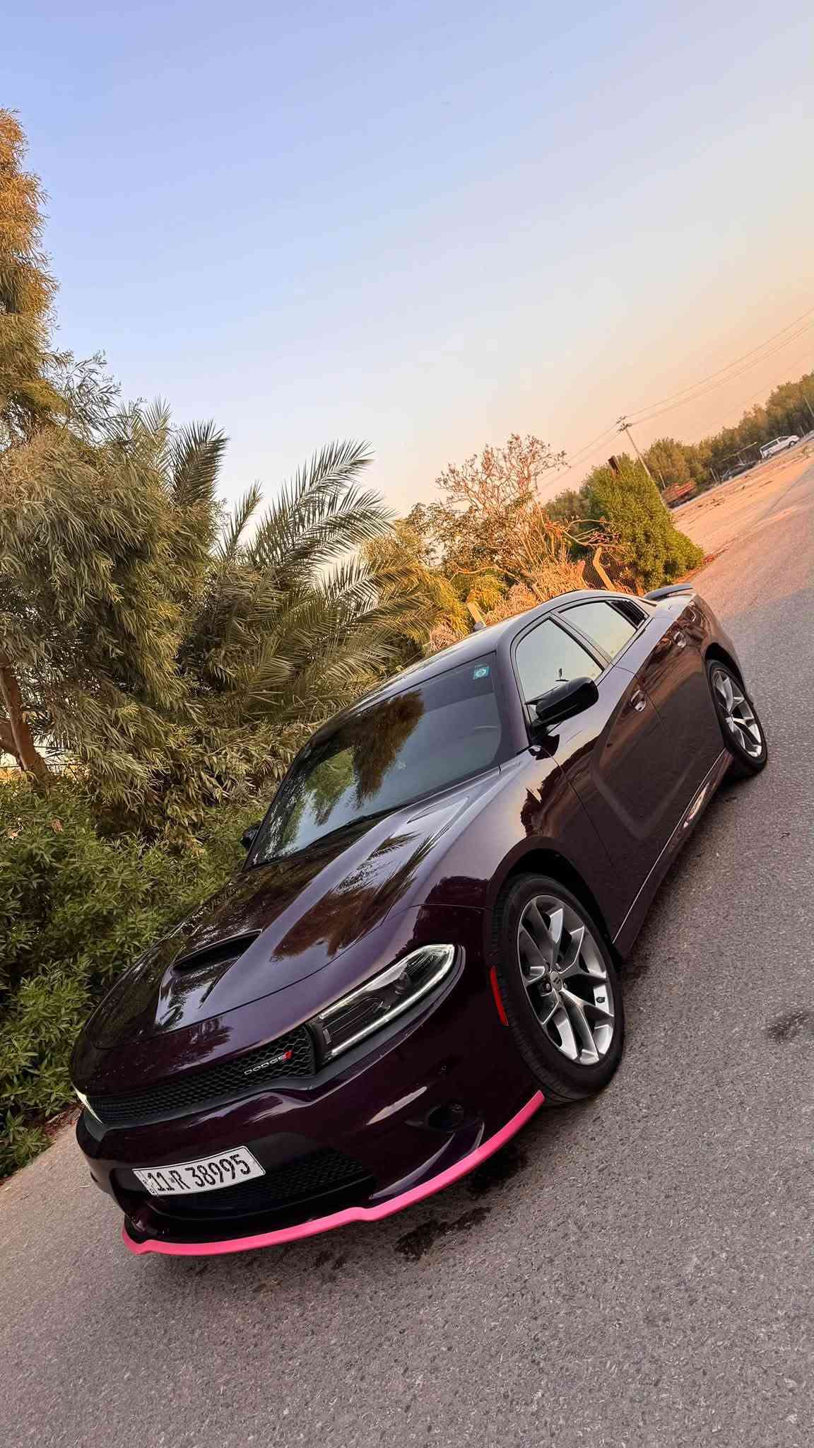 سلام عليكم مكلف بل نشر
الفئه/ GT🔥
موديل/ 2022
لون/ بنفسجي🟣
المشي/40mi مشي امريكا
مري هيتر
حساسات جانبيه
كشنات مخمل حضن
شاشه جبيره
سوبر تراك باك
ويل GT قياس 20
تخم تاير جديد
كير حداديه تبريد شواصي دواخل حوض ايرباك كله كفاله

دخول جديد ماصارلها هواي من ترقمت يعني على مشي امريكا
ماعايزه برغي واحد رقم بغداد مداور مباشر 
الضرر/ قبق جنطه وجاملغ خلفي بدون كص بدون لحيم بجم كبس بدون دواخل بدون ايرباك حادث خفيف
السعر 230 وبيها مجال ماكو بنضافتها ونفس حادثها بهيج سعر
للاستفسار خاص او ***********
